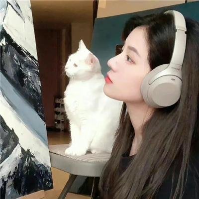 罗莎夫人